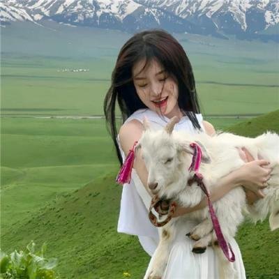 顽将飞渡娘子关 在线观看
